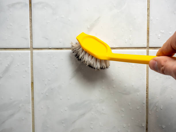 Best Mold Remediation for Schools in Blair, WI