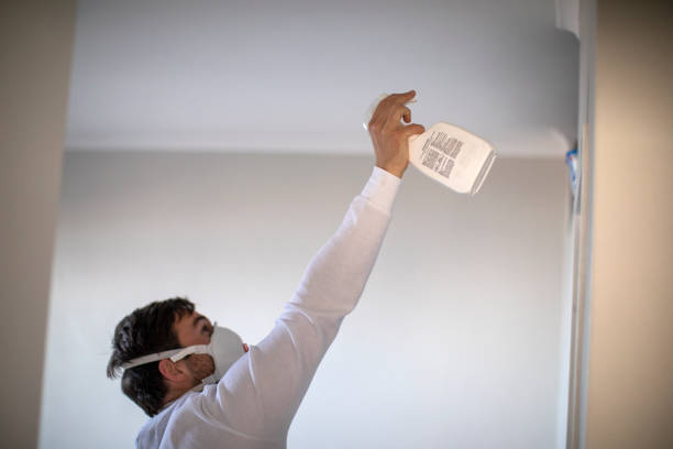 Best Bathroom Mold Remediation in Blair, WI